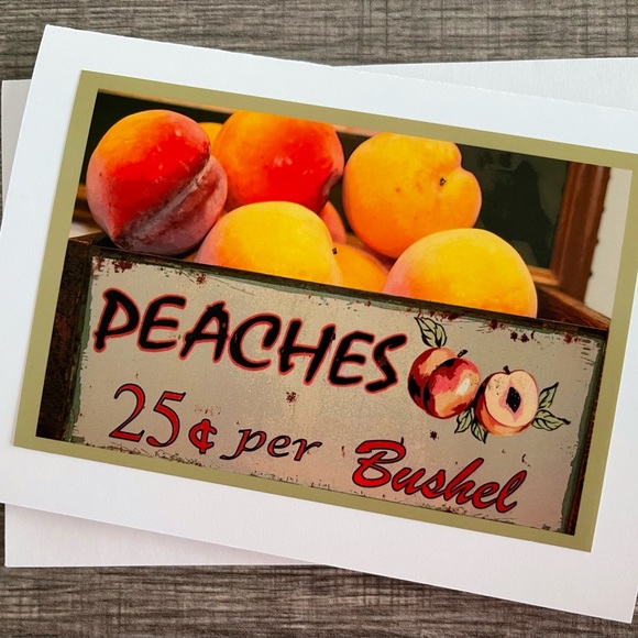 Six Fall 5x7 Blank Photo Greeting Cards by Aunt Jayne - Picture 6 of 7